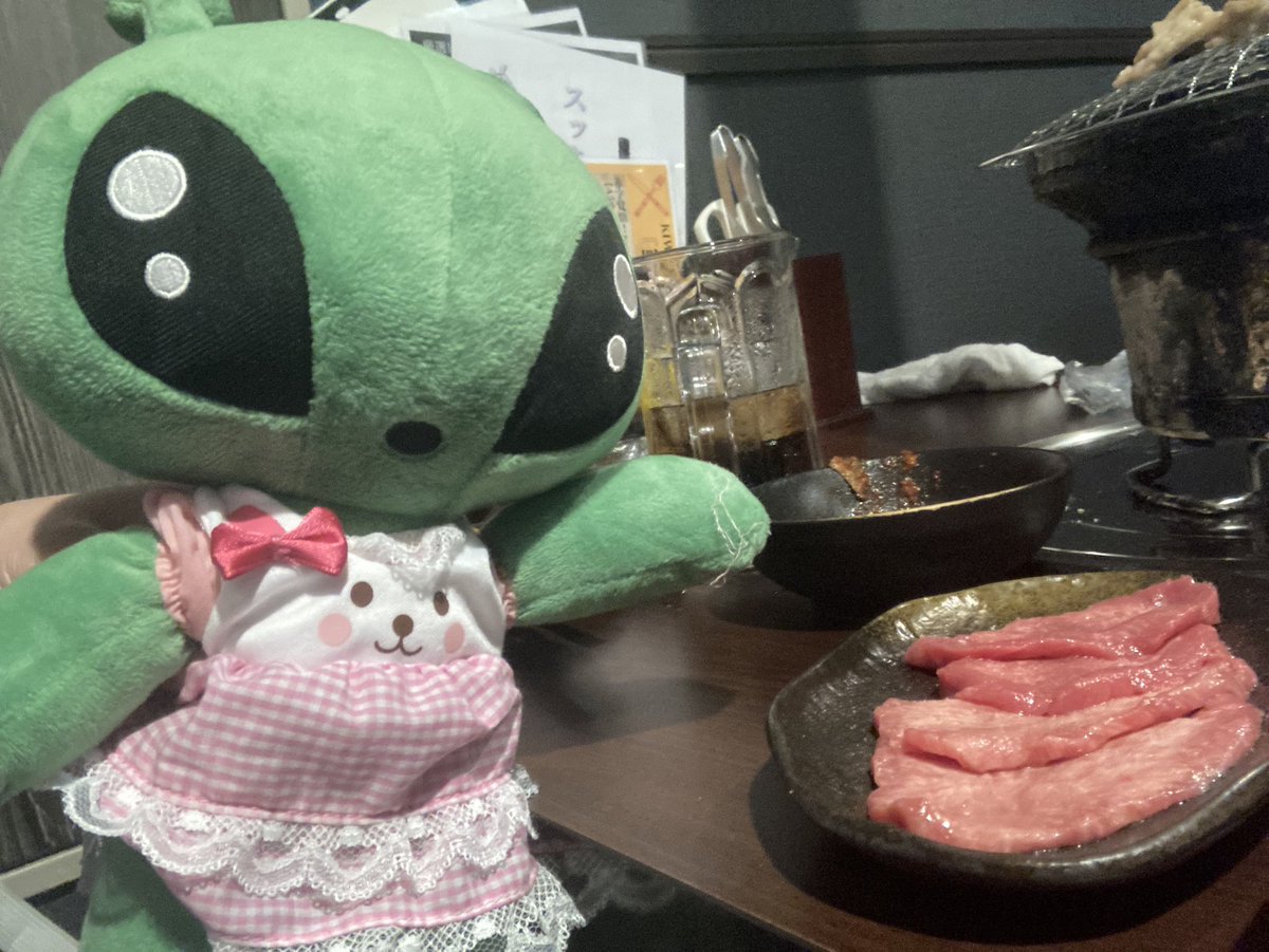 kimishine1984's tweet photo. わぁい あかみの おにくだよ🥩
#IKEAalien
#ぬい活
#ぬい撮り https://t.co/S7eWrCaw5t