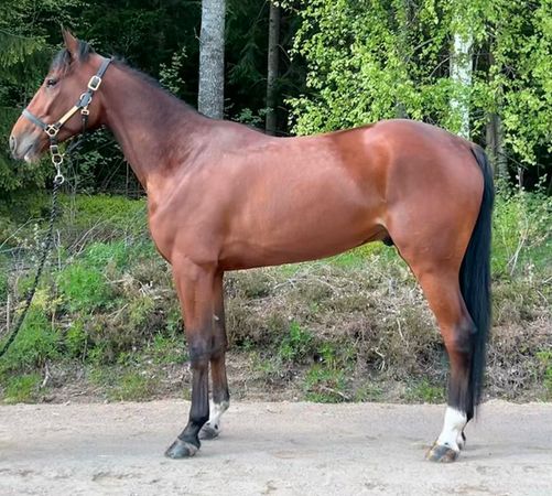 travera.nu tweet media