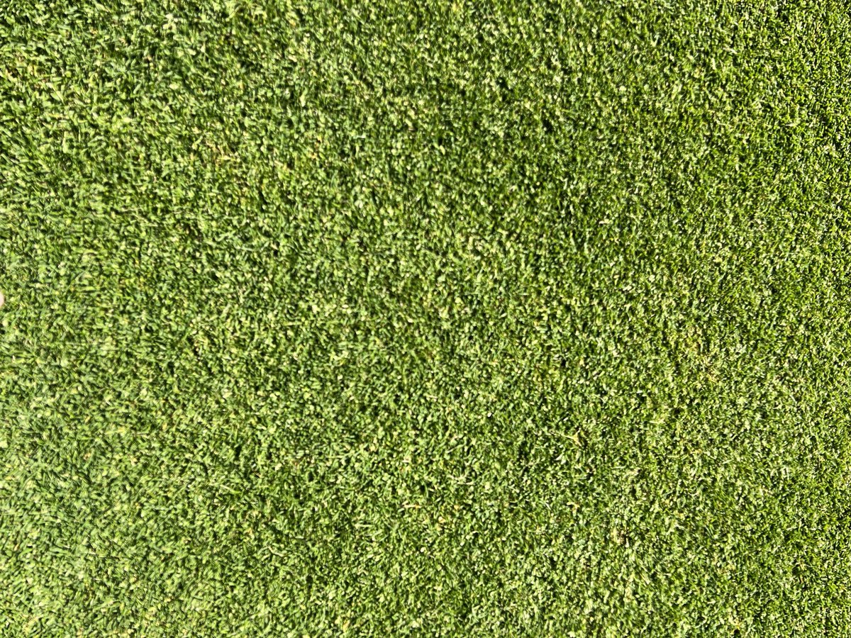 Karl McDermott (@karl_mcdermott) on Twitter photo Time for the outfield to get a clean up with the Unirake, one of my new favourite pieces of kit. Mown off beautifully with <a href="/DennisMowers/">Dennis Mowers</a> E-36. We are trialling a new grooved front roller which is cutting off 50% more than the traditional smooth roller. #cricket #grass Time for the outfield to get a clean up with the Unirake, one of my new favourite pieces of kit. Mown off beautifully with <a href="/DennisMowers/">Dennis Mowers</a> E-36. We are trialling a new grooved front roller which is cutting off 50% more than the traditional smooth roller. #cricket #grass