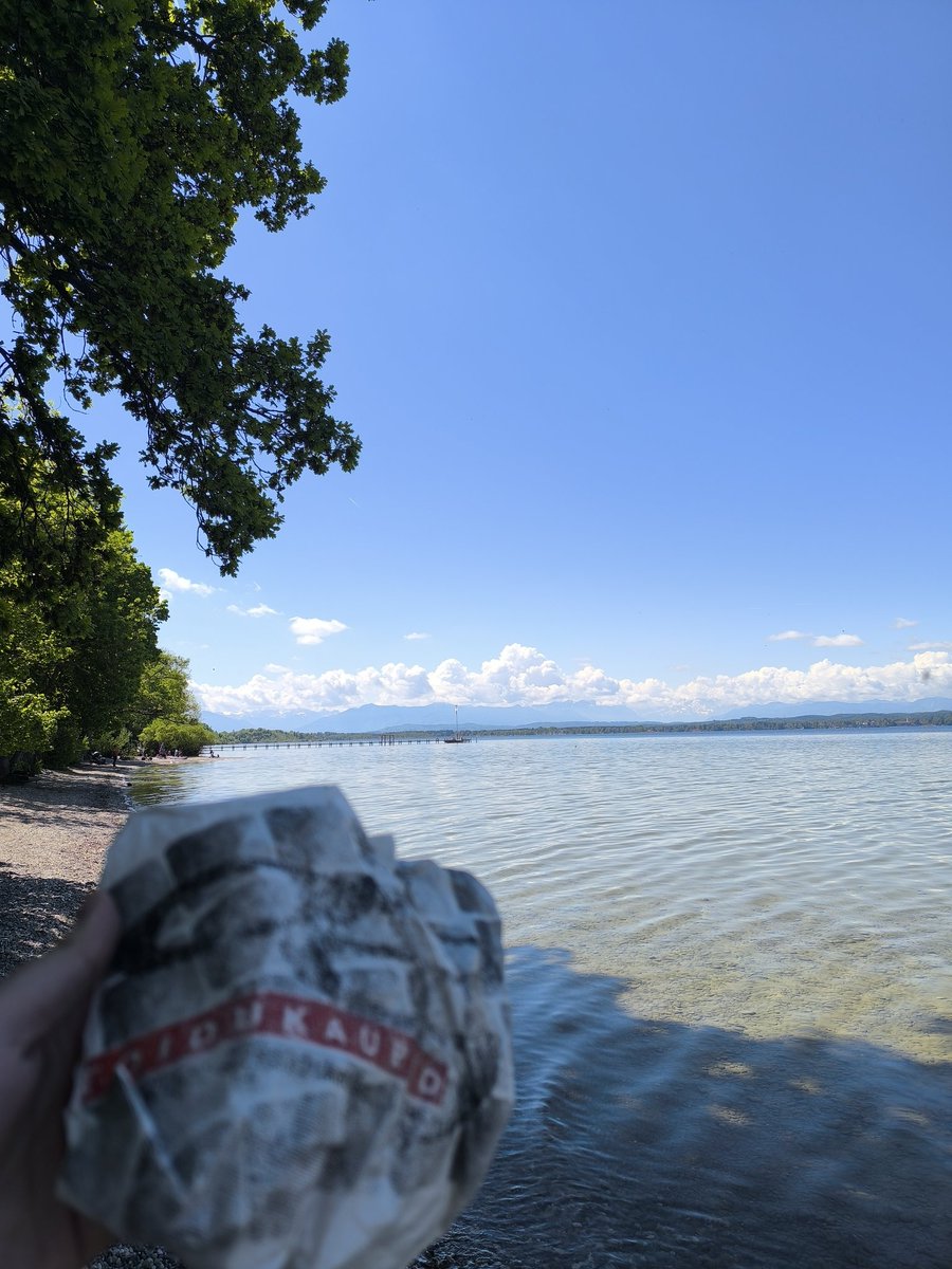 Kas #grossikott läheb täna ujuma?