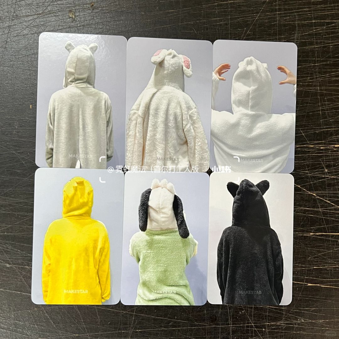 FURRY NMIXX PHOTOCARDS