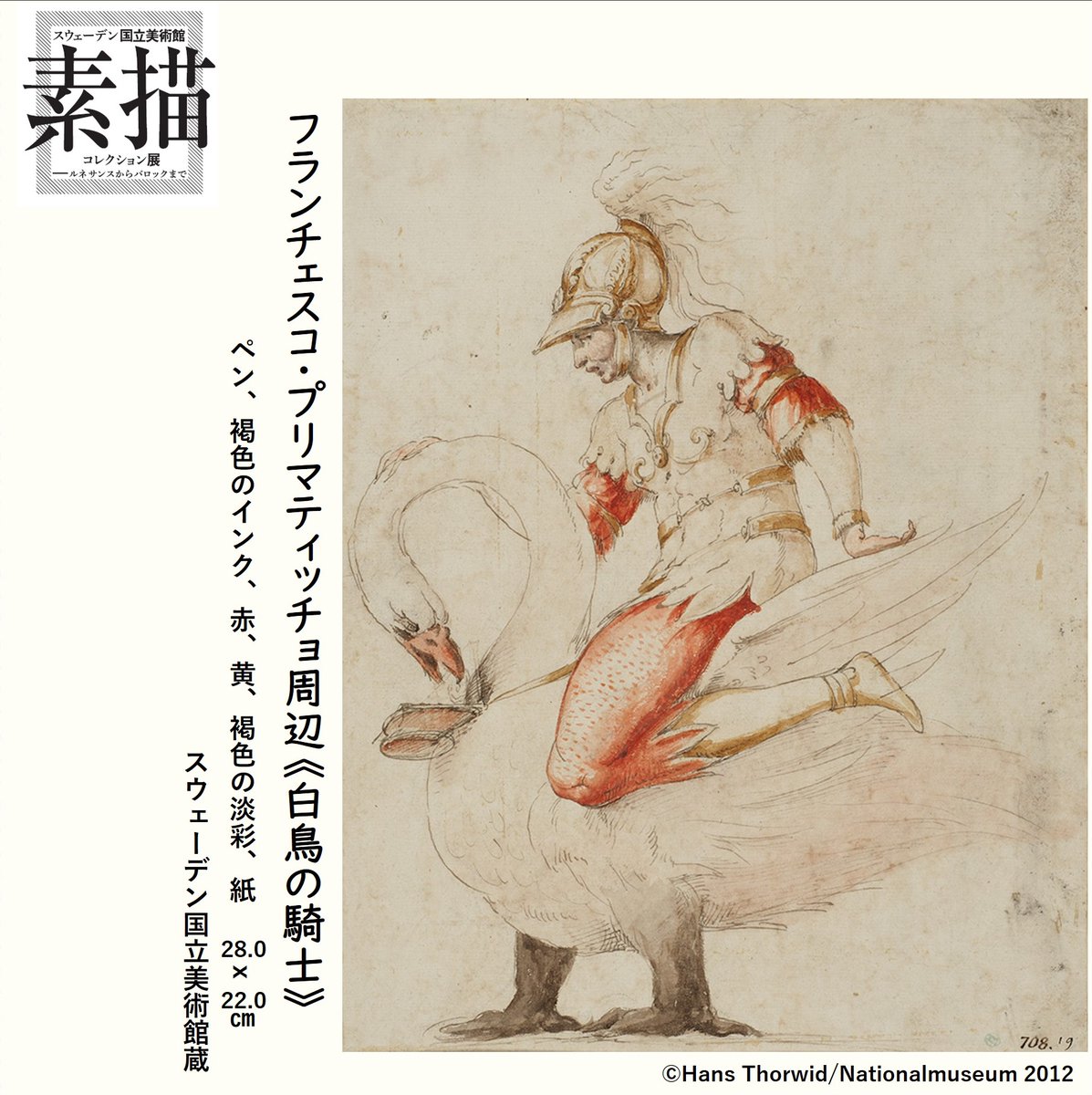 素描展 作品紹介🖊 フランチェスコ・プリマティッチョ周辺 《白鳥の