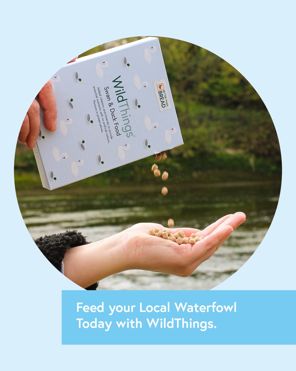 WildThings tweet media