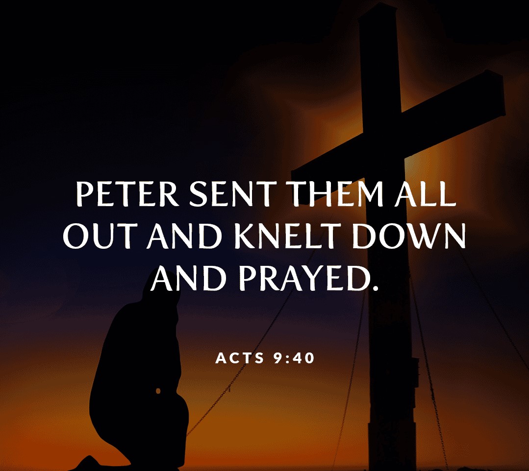 StJamesWab's tweet photo. #catholicreflections#livingtheword#stjameswabash https://t.co/s0GQuUfwhz