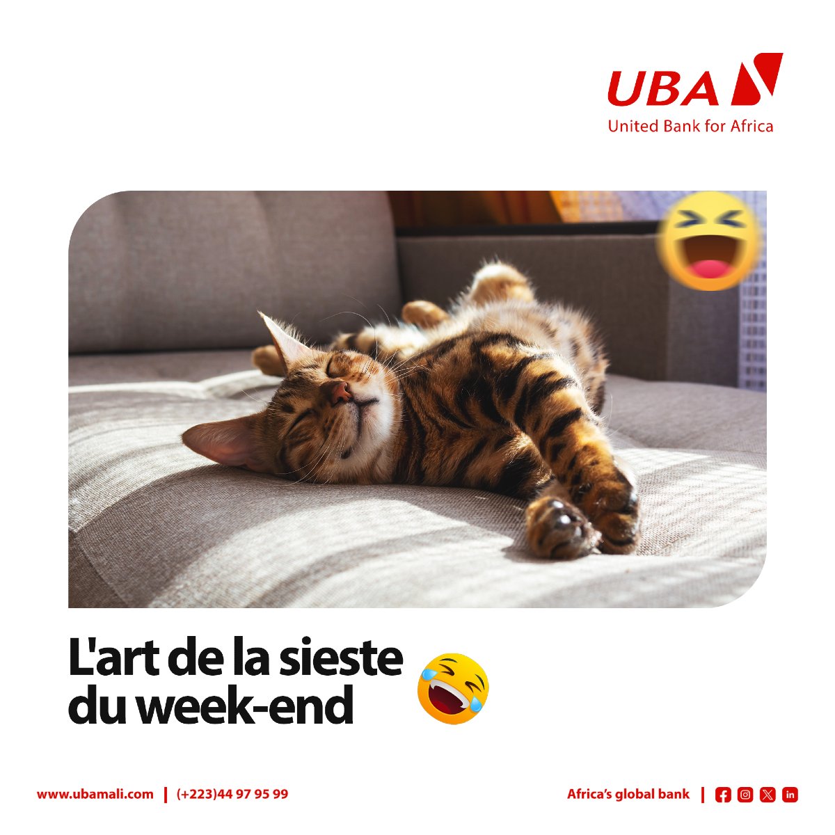 UBA_Mali's tweet photo. Quand le weekend arrive, la sieste devient obligatoire ! Qui d’autre en profite ?
Bon week-end à tous ! 😊
#weekendrelax #ubamali #AfricasGlobalBank https://t.co/F3aCNpMw4c