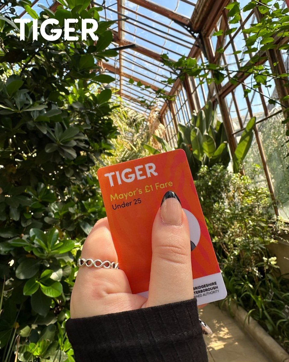 The days are getting longer, and that summer feeling is just around the corner 🌞 With the Tiger Bus Pass, under-25s can travel for just £1 per journey - so every sunny day can be an adventure 🐯

Apply for your Tiger Bus Pass today 👉 orlo.uk/f8yAX

#TigerBusPass