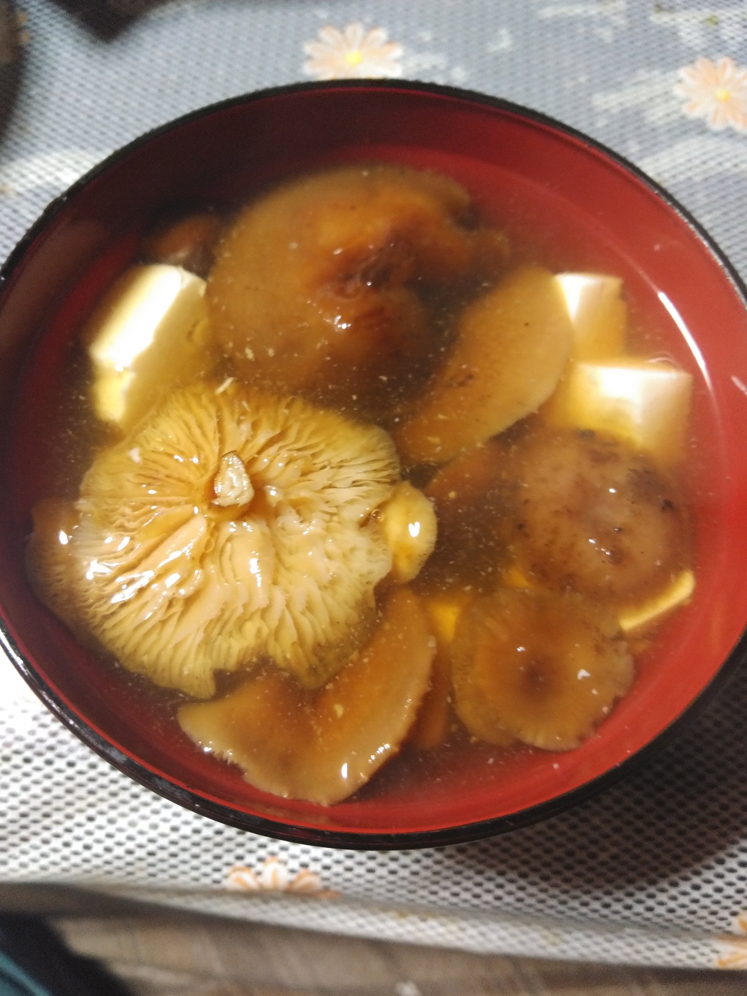 えのき茸 - البحث / X