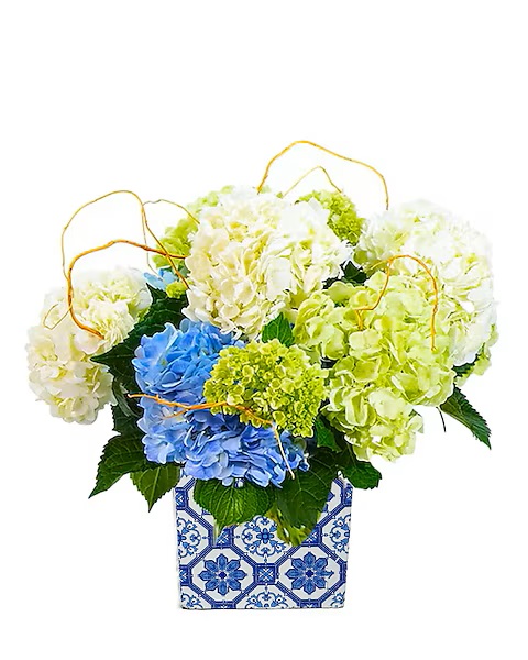 Busseys's tweet photo. For the late-night talks, warm hugs, and unwavering support—we can never thank our moms enough. ❤️
This Mother’s Day, show your appreciation with flowers that say it all.🤍 🌿
#MothersDay #HelloHydrangea #MothersDayFlowers #BusseysFlorist #RomeGa #Rockmart #Cedartown https://t.co/YNh1YtkLUZ