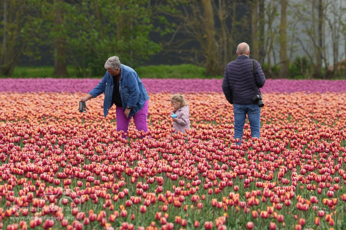 aggiefotografie.nl/fotoblog-opnie…