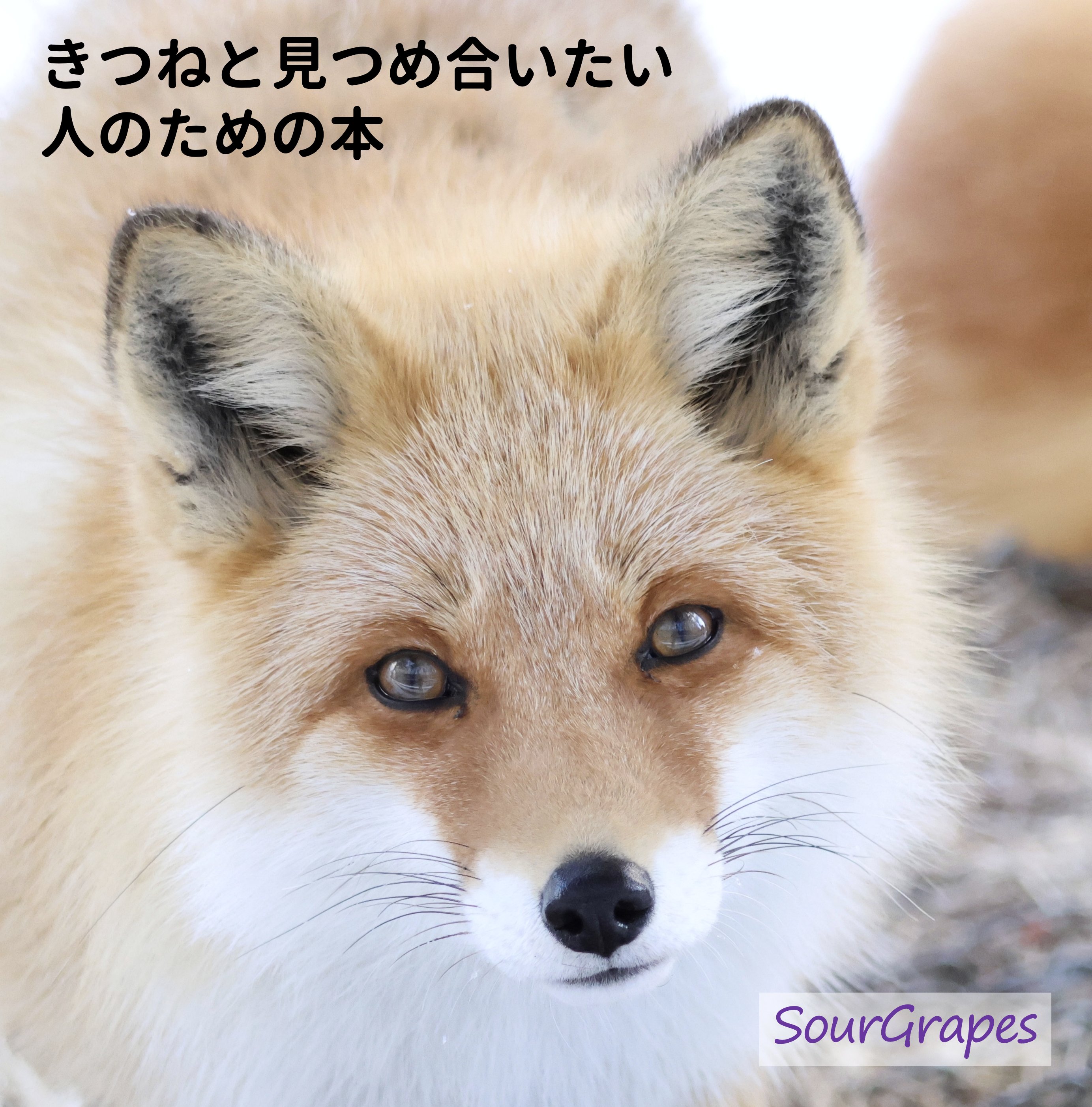 Cheng-Ren🦊🐺 (@chengren21) / X