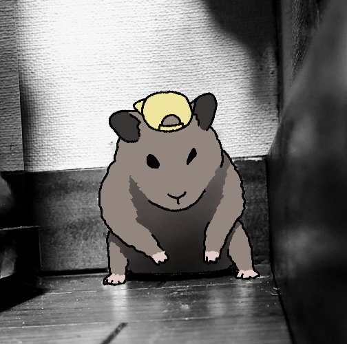 햄님 오셧음까                                                그래..