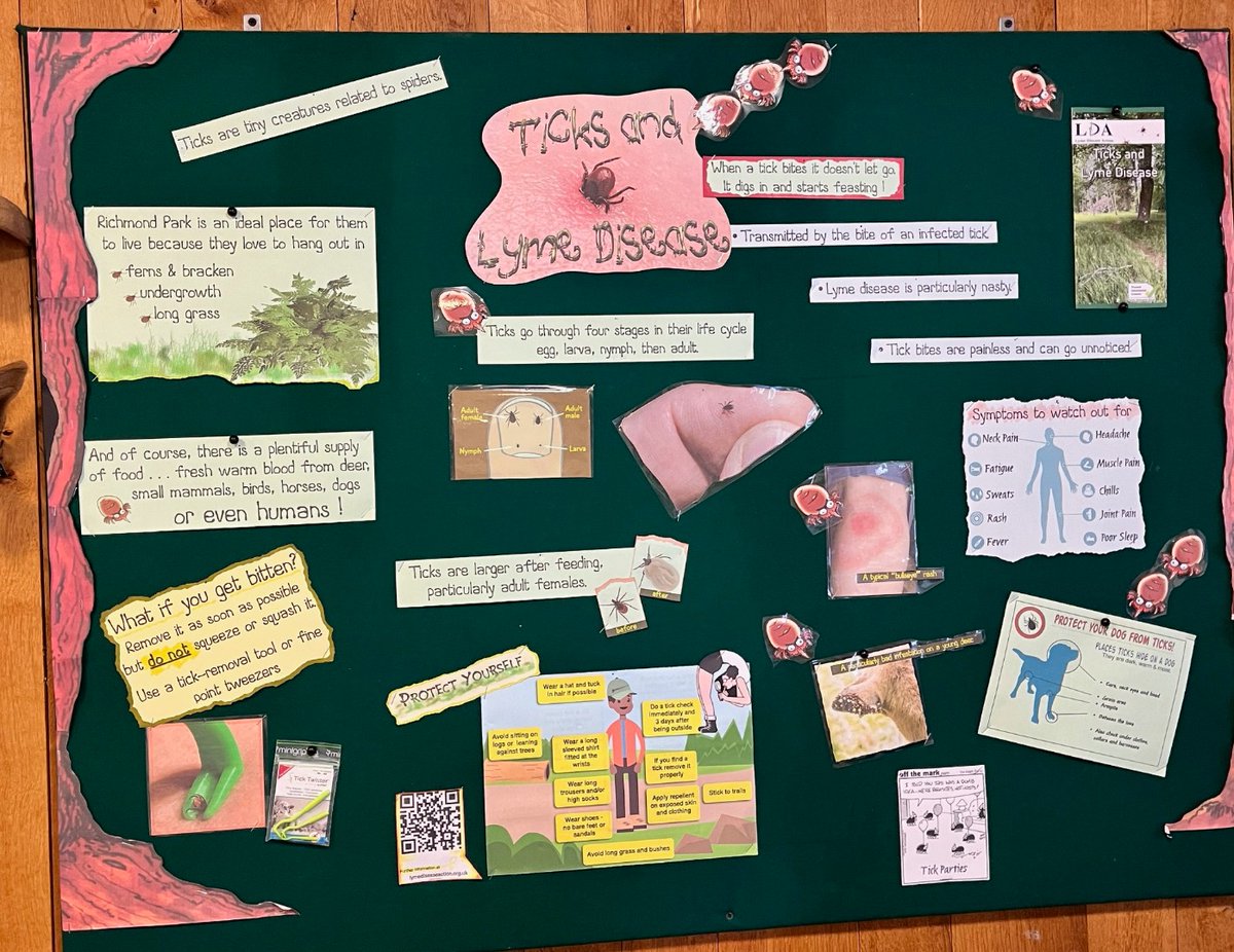 Lyme Disease Action (@lymeaction) on Twitter photo Great notice board in Richmond Park <a href="/FRPTweets/">Friends of Richmond Park</a> raising awareness of #ticks and #Lyme disease <a href="/theroyalparks/">The Royal Parks</a>. Anyone else need leaflets or images? Just contact us. Great notice board in Richmond Park <a href="/FRPTweets/">Friends of Richmond Park</a> raising awareness of #ticks and #Lyme disease <a href="/theroyalparks/">The Royal Parks</a>. Anyone else need leaflets or images? Just contact us.
