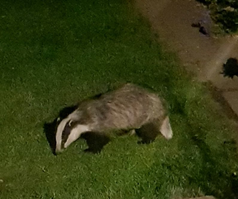 CrikeyIt'sCroydon tweet media