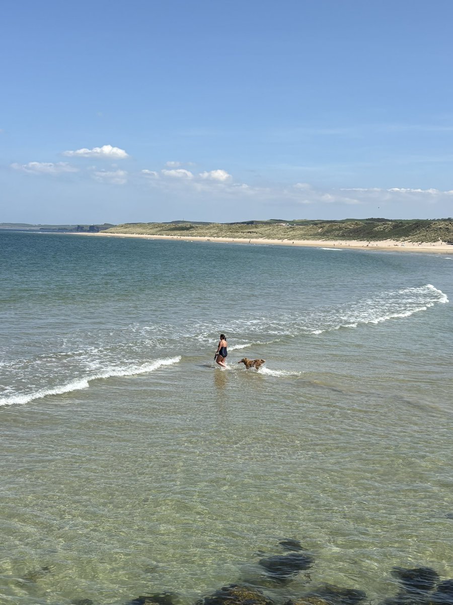 This woman is living her best life. Well, mine too. It may only be early May but she’s been in the sea with her golden retriever all morning 💙