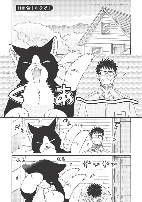 でっかいねこまたととーちゃんの、ある日の朝🐱🍳(1/3) 