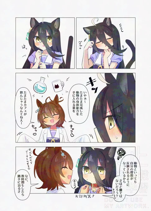 猫タキカフェ 