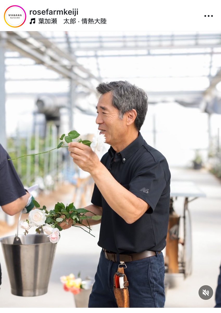 明日5/11 夜11時〜　情熱大陸に和ばらの育種家rosefarmkeijiの國枝啓司さんだそうです！啓司さ〜〜〜ん💖💞✨🥰