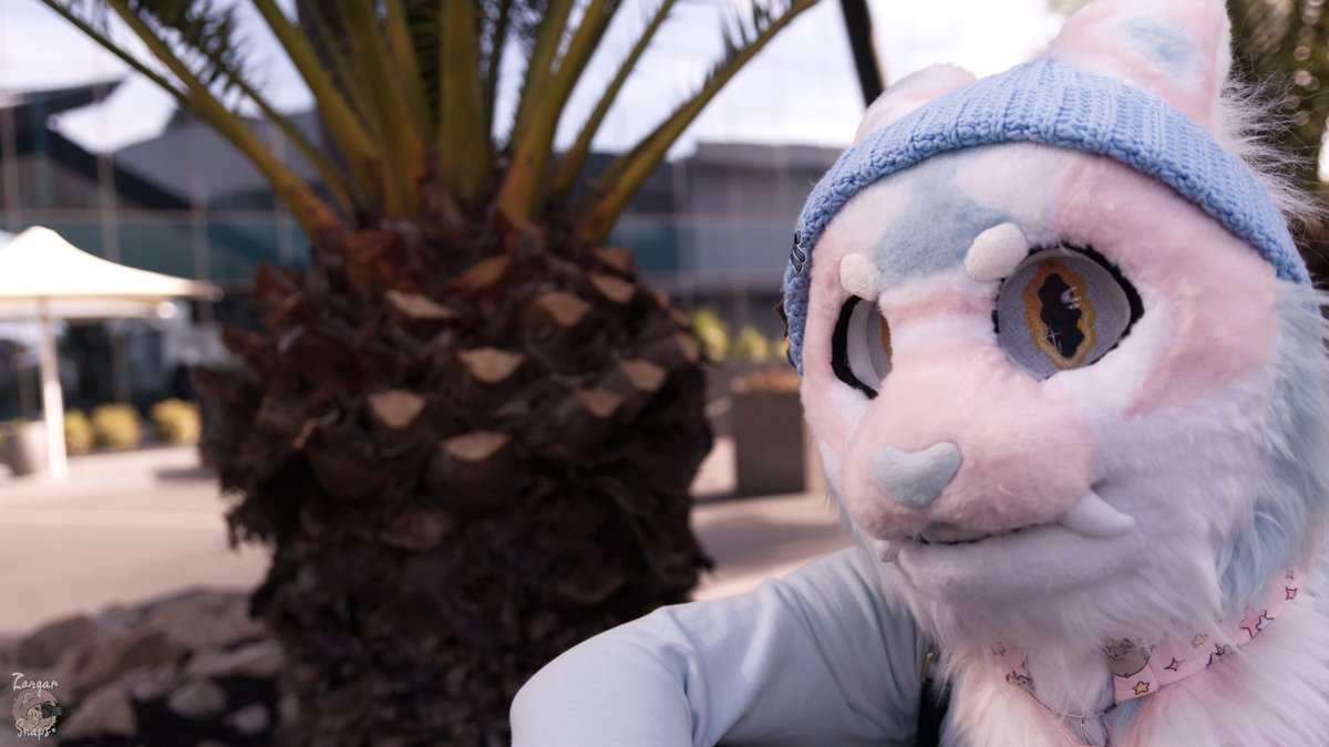 Mow! Got some exciting things going on in the background that I can’t wait to announce soon ☺️

~✨Watch this space!✨~

📸: <a href="/Zangar__/">Zangar Snaps</a> 

#furry #fursuit