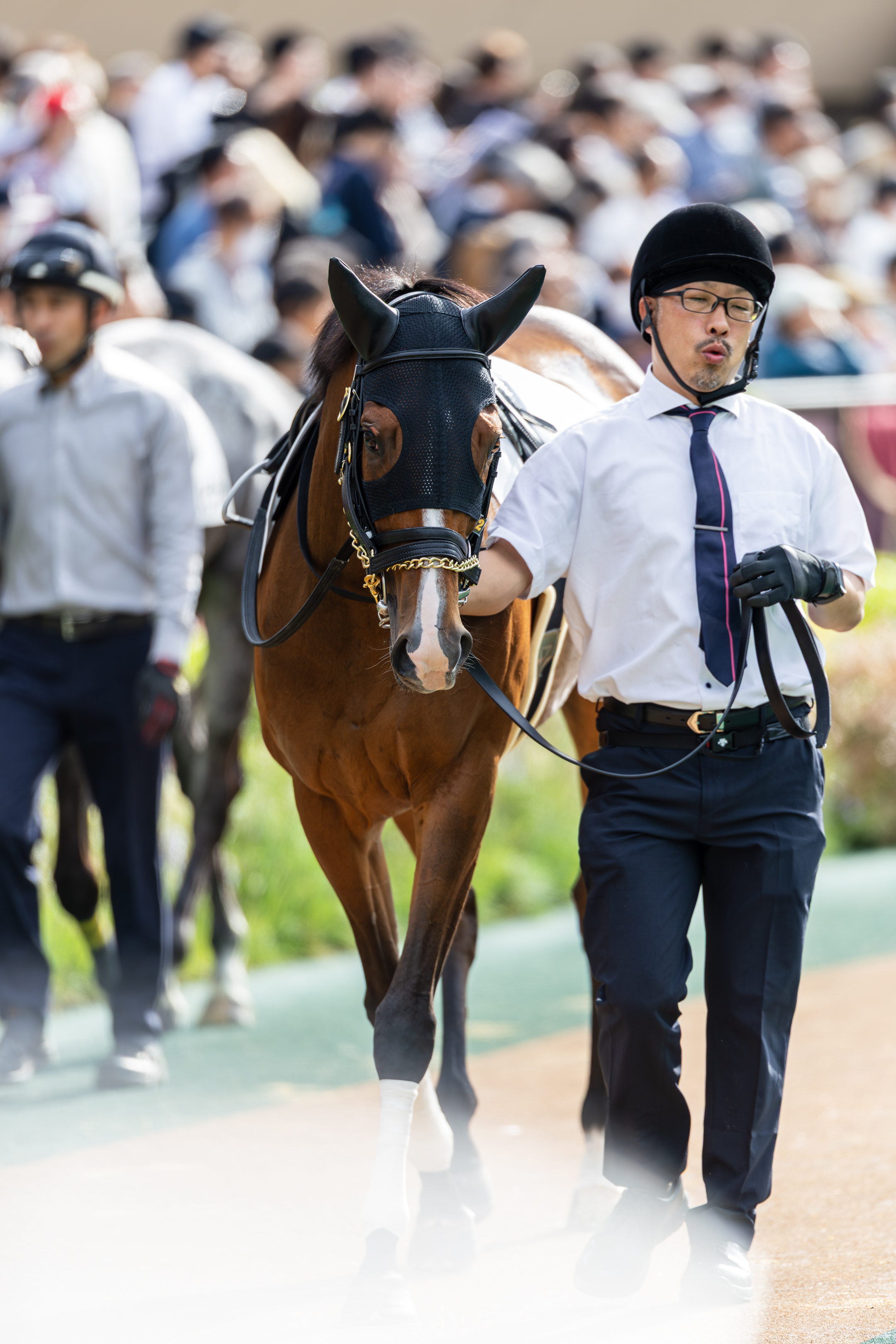 現地】2025 G3 共同通信杯 マスカレードボール 坂井 瑠星【東京