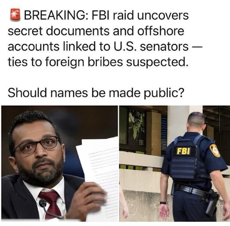 Turtle🐢 tweet media