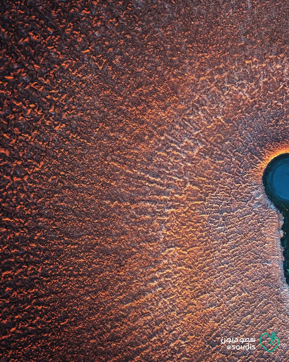 saudis's tweet image. بين طيات الرمل وسكون الصحراء، تنبع هذه العين كأنها سرٌ أفصحت عنه الأرض أخيرًا.
بعدسة المصور المبدع @sayafdashen سياف دشن، تحوّل المشهد إلى لوحة تنبض بالإلهام، وتُظهر جمال التضاريس السعودية في أبهى صورها.

#سعوديون