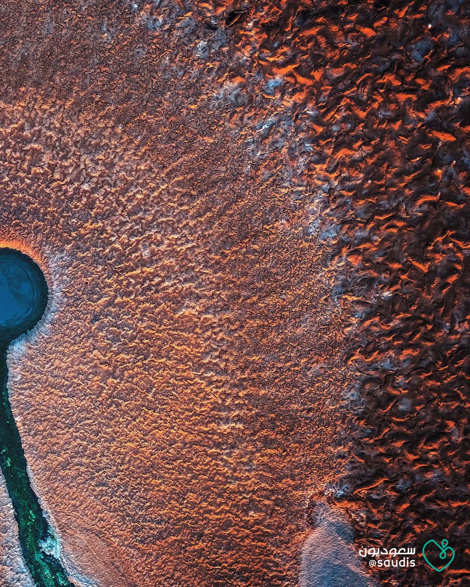 saudis's tweet image. بين طيات الرمل وسكون الصحراء، تنبع هذه العين كأنها سرٌ أفصحت عنه الأرض أخيرًا.
بعدسة المصور المبدع @sayafdashen سياف دشن، تحوّل المشهد إلى لوحة تنبض بالإلهام، وتُظهر جمال التضاريس السعودية في أبهى صورها.

#سعوديون