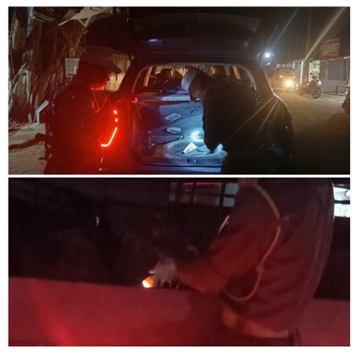 Golaghat Police (@golaghatpolice) on Twitter photo Golaghat Police continues Naka checkings at every key locations and maintains area domination across the district to ensure safety & security.
<a href="/assampolice/">Assam Police</a>
<a href="/DGPAssamPolice/">DGP Assam</a>
<a href="/HardiSpeaks/">Hardi Singh</a> Golaghat Police continues Naka checkings at every key locations and maintains area domination across the district to ensure safety & security.
<a href="/assampolice/">Assam Police</a>
<a href="/DGPAssamPolice/">DGP Assam</a>
<a href="/HardiSpeaks/">Hardi Singh</a>