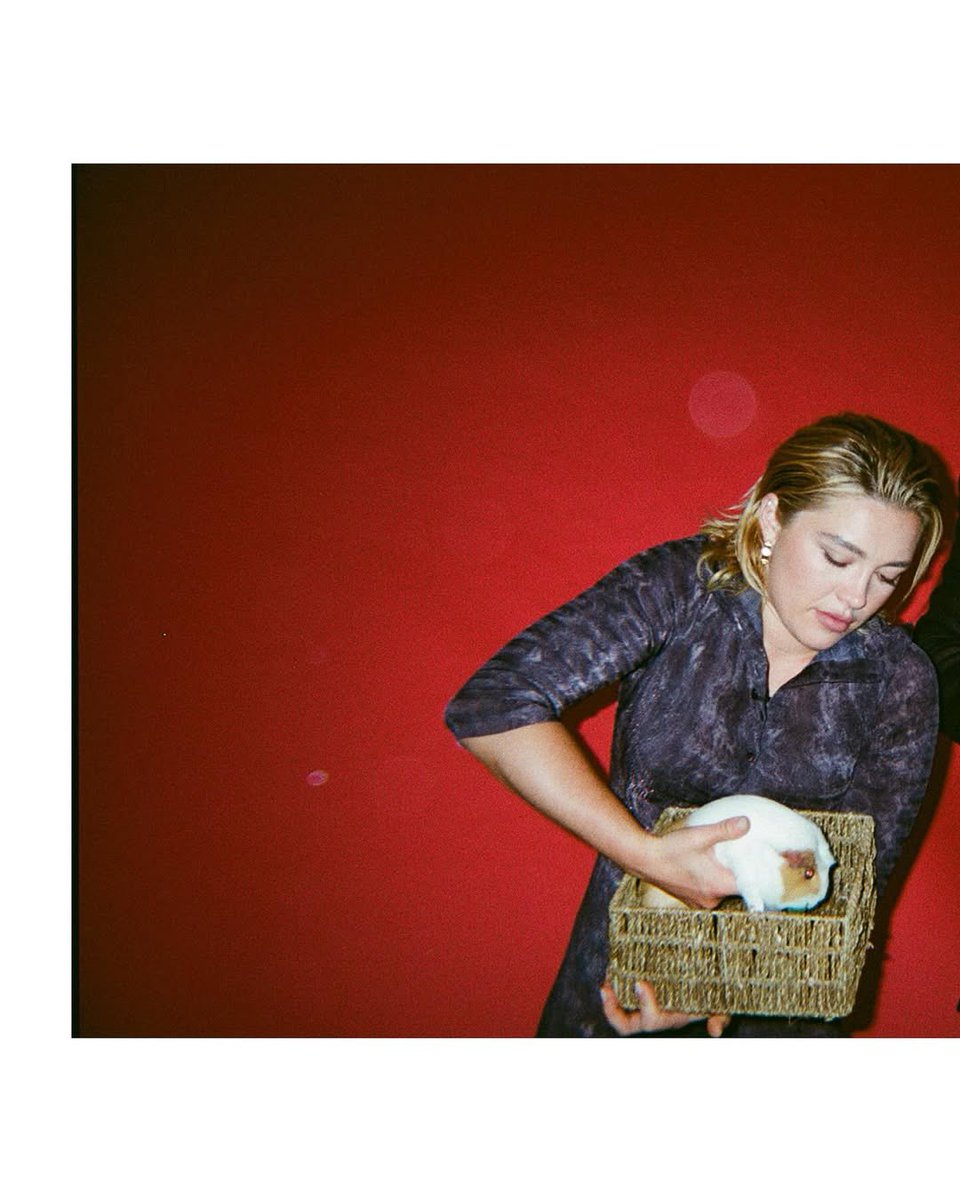 charliyuri's tweet photo. just florence pugh with a guinea pig https://t.co/fU30jolrvA