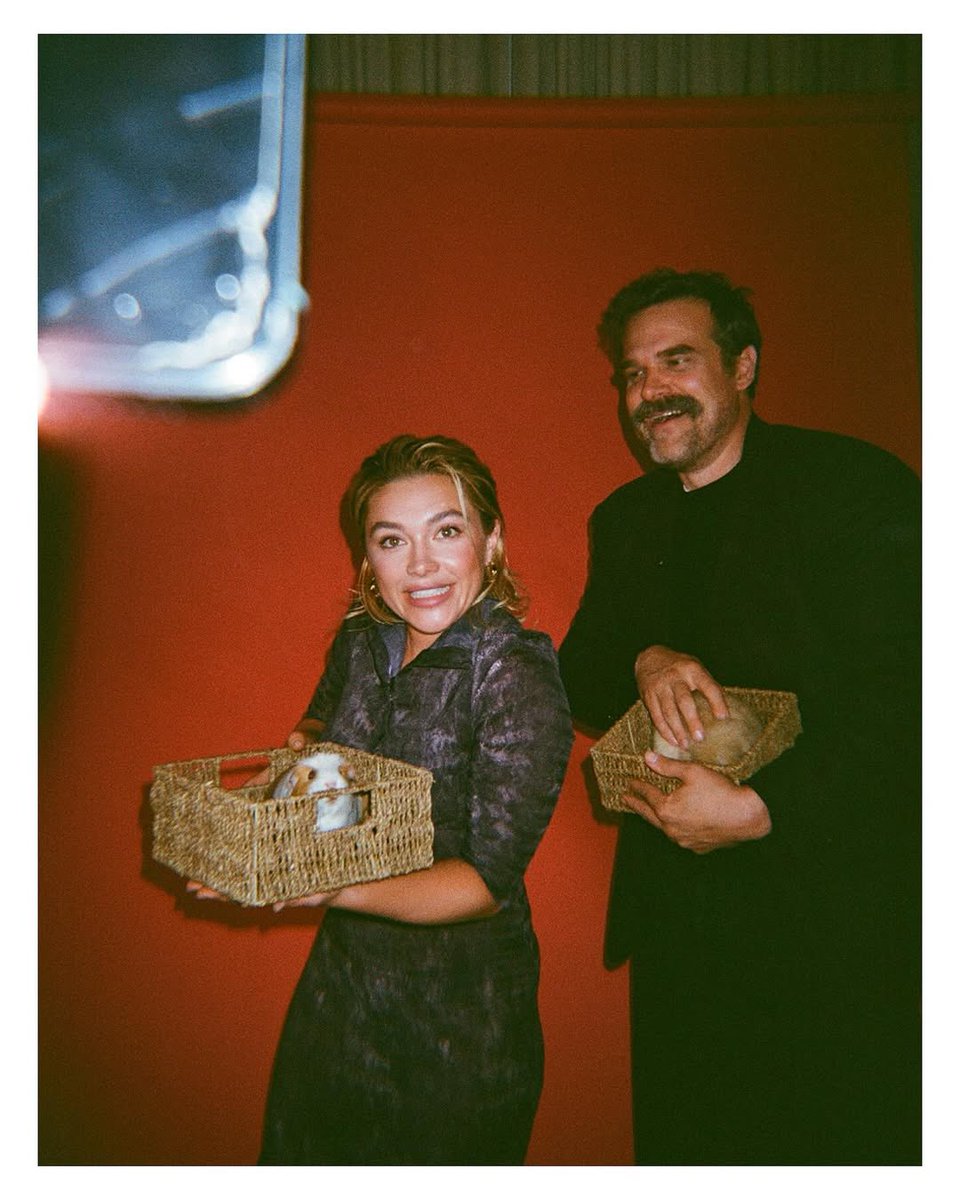 charliyuri's tweet photo. just florence pugh with a guinea pig https://t.co/fU30jolrvA