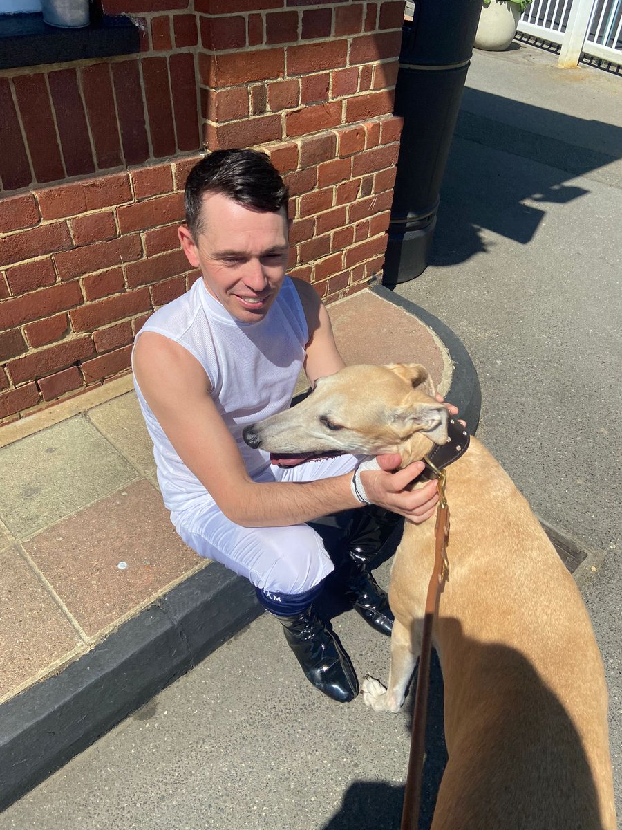 GreyhoundBoard's tweet image. Some of the GBGB team are at @LingfieldPark today drumming up support for the @welfareontrack campaign. 

If you are there be sure to drop by and show your support. 

Not able to attend? Sign the petition here: petition.parliament.uk/petitions/7022…