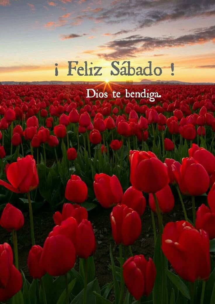 Bendecido sábado ☀️

<a href="/ACaro_Ayala/">Carolina Ayala</a> <a href="/Carmenlop20/">Carmen Lopez</a>  <a href="/CynthiaCuenca2/">Cynthia Cuenca 🇵🇾</a> <a href="/Roberto78801369/">Roberto Espinola</a> <a href="/Ida_Aurora/">Ida 💖🌷💁🏻‍♀️☕🍰🌷💖</a> <a href="/katr_elena/">Elena.katr.</a> <a href="/leticia250566/">Mayra Leticia</a>  <a href="/SerranoLandy/">🌻 𝑹𝒊𝒄𝒊𝒕𝒐𝒔 𝒅𝒆 𝑶𝒓𝒐🌻</a> <a href="/LydiaPrez14/">Lydia Esther</a> <a href="/hlt101660/">Héctor López</a> <a href="/Mariita9147/">HULDA</a> <a href="/Elias1495330979/">Elias aleman</a> <a href="/MartinezG9382/">Mario Edwin Martinez Garcia</a> <a href="/NectarMontesino/">Ing Néctar Augusto ⚖</a> <a href="/NectarAugusto/">Ing Néctar Augusto ⚖</a> <a href="/XeniaGonzalez7/">Xenia Gonzalez</a>