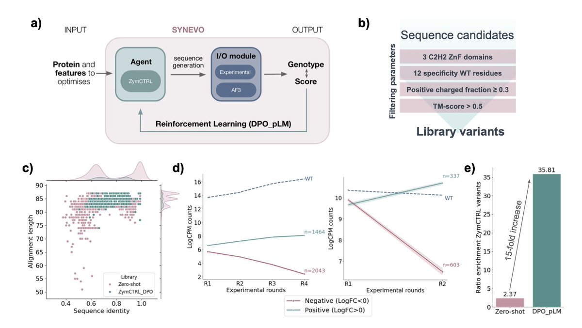 SYNEVO: Towards Synthetic Evolution of Biomolecules via Aligning Protein Language Models to Biological Hardware

１．SYNEVO is a closed-loop AI-driven framework that combines protein language models (pLMs), high-throughput experimental feedback, and reinforcement learning (RL) to