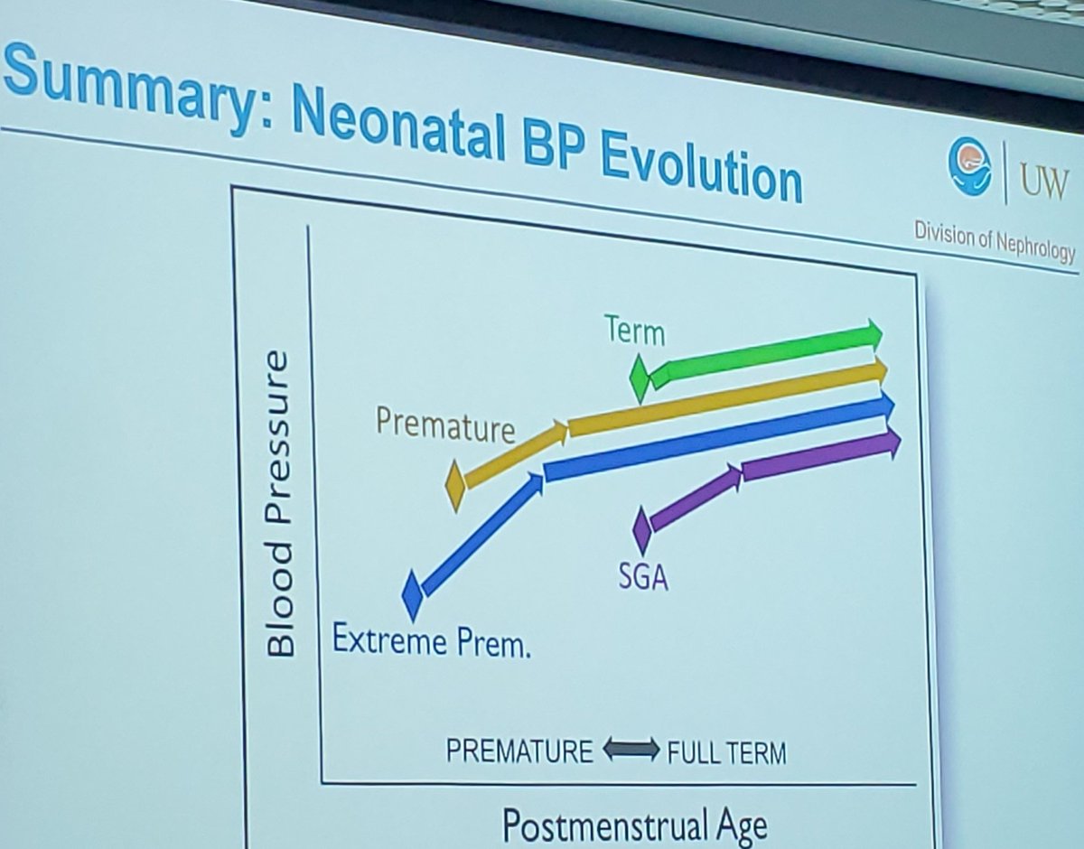 Carissa Baker-Smith MD, MPH, FAHA, FACC, FAAP (@carissabakersm1) on Twitter photo Excellent presentation by <a href="/drjosflynn/">𝐉𝐨𝐬𝐞𝐩𝐡 𝐅𝐥𝐲𝐧𝐧, 𝐌𝐃</a> on neonatal HTN diagnosis and management! #ichca Warsaw Poland.
<a href="/IntPedHTN/">International Pediatric Hypertension Association</a> Excellent presentation by <a href="/drjosflynn/">𝐉𝐨𝐬𝐞𝐩𝐡 𝐅𝐥𝐲𝐧𝐧, 𝐌𝐃</a> on neonatal HTN diagnosis and management! #ichca Warsaw Poland.
<a href="/IntPedHTN/">International Pediatric Hypertension Association</a>