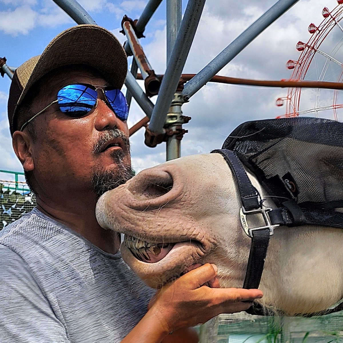 【珍客来襲】
幼児が『馬に草を食べさせたい』と親子で『エサやり』で入場
草は数cm
確実に噛まれる長さ
丁重に何度も断るが長さを調整する母親
「危ない」
「捨てて」
と何度も依頼
それガン無視
オレ「噛まれて指が無くなっても良いなら」と言う
母「そんな言い方なんですか」と
激怒して帰る