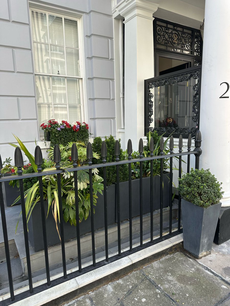 RosewoodLivingW's tweet image. Nice to see the #livingwalls, #windowboxes &amp;amp; #containers we installed for our Belgravia hotel client, during routine maintenance. Their below-street-level outdoor space looks a proper garden with all the planting: attractive for visitors &amp;amp; #bees.
#urbangreening #greeningthecity