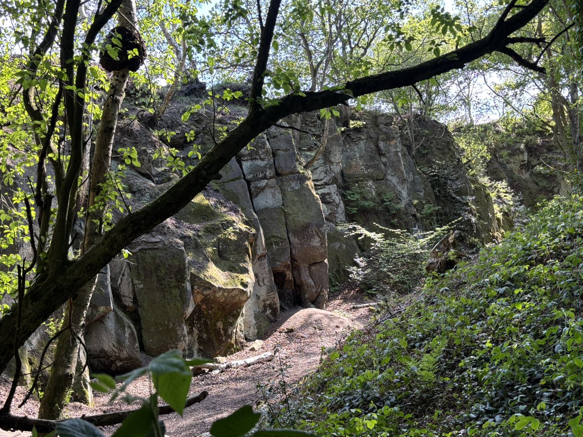 Carver’s Rocks, Derbyshire