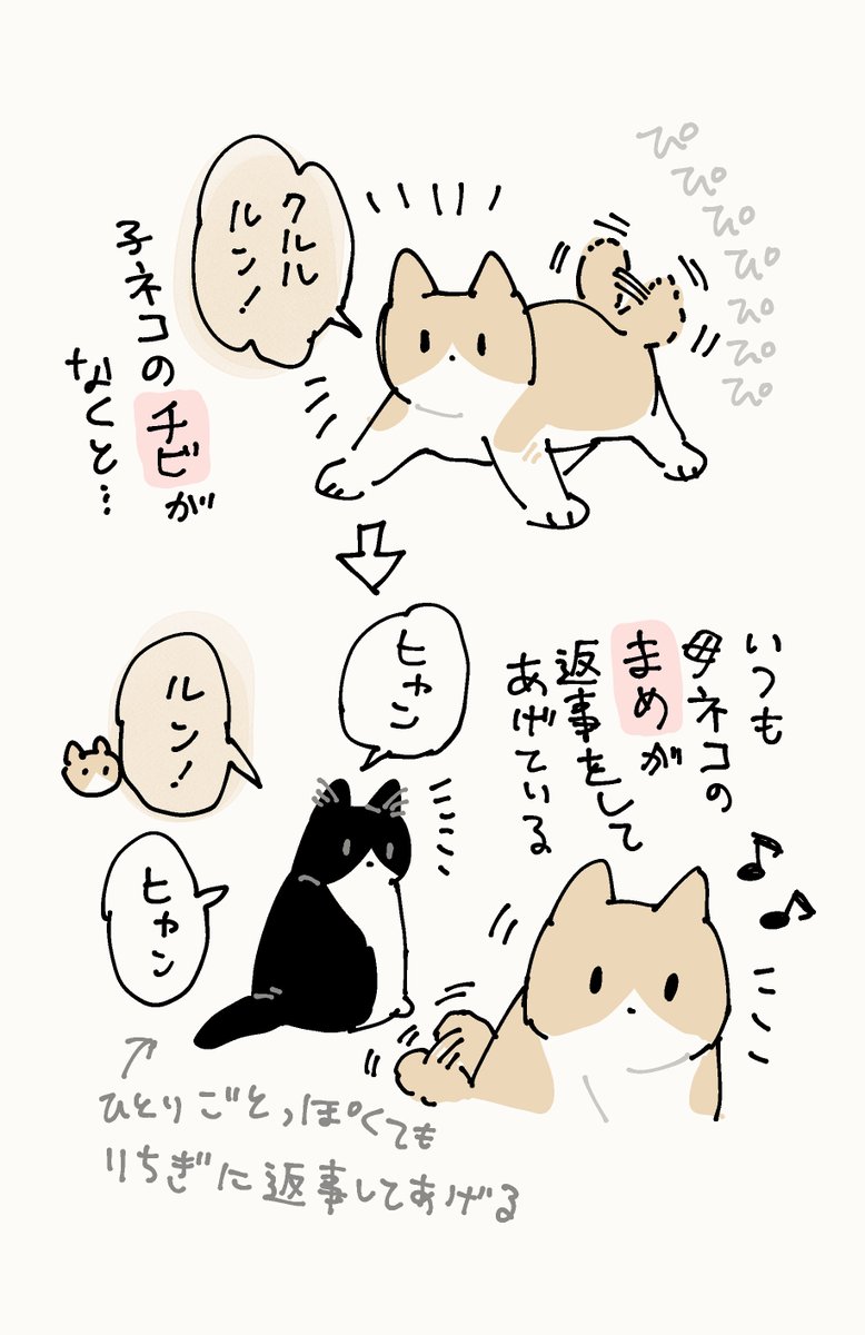 [2/6] ねこの親子めちゃくちゃかわいい 