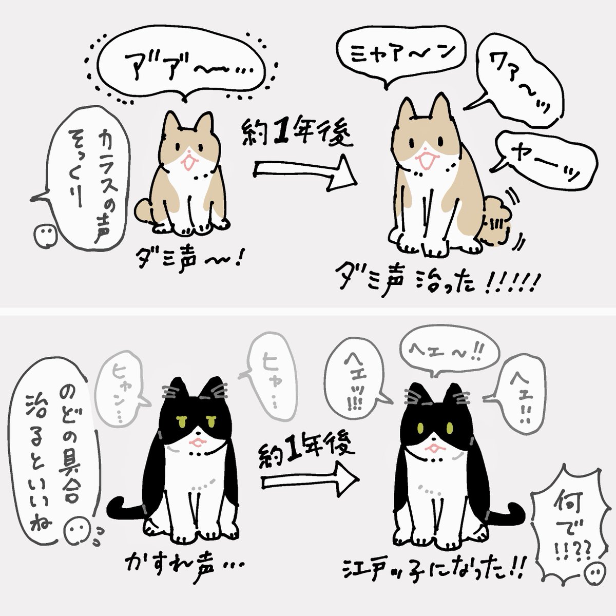 [5/6] 家猫になってダミ声が治る子と江戸っ子になる子 