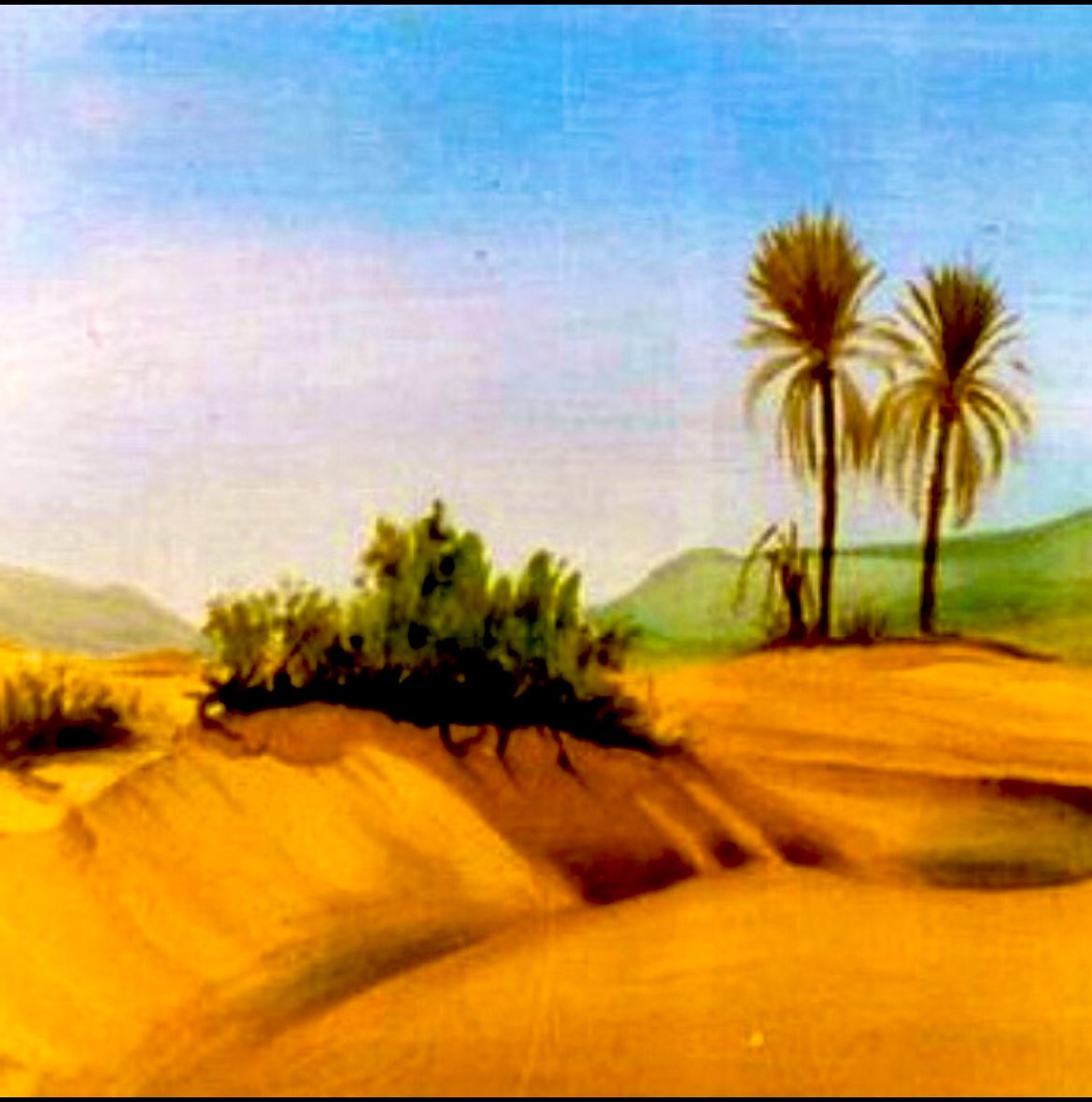 فهد بن ناصر الربيق💚الخالدي (@falrubayq) on Twitter photo 