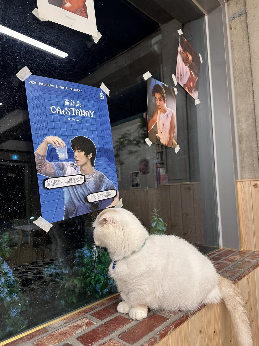 ์๋ค๋ ค์ tweet media