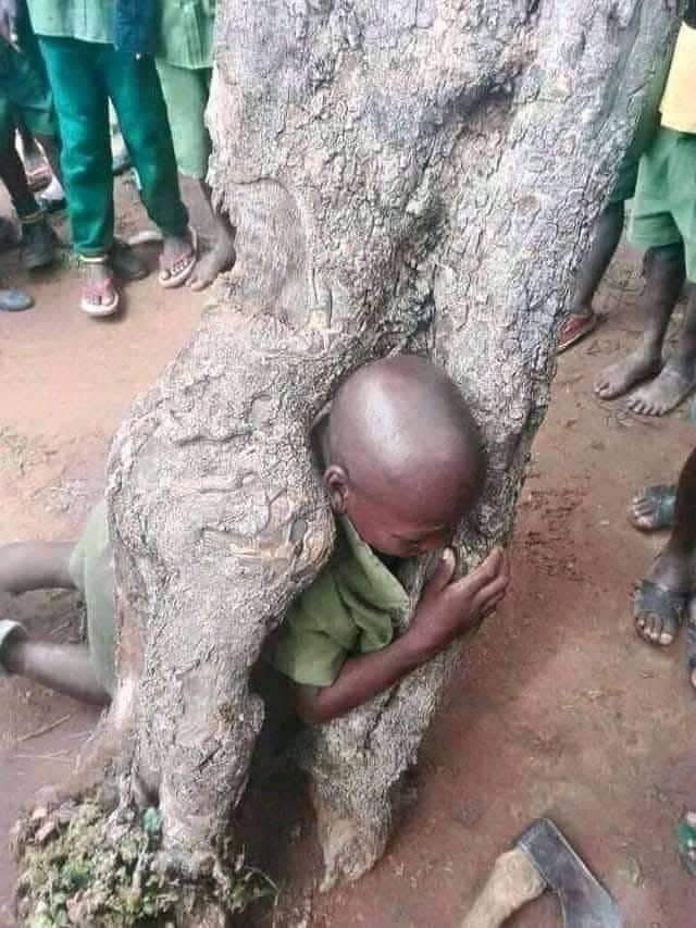 There’s an axe, pick it, save the child, leave about how he get in there.