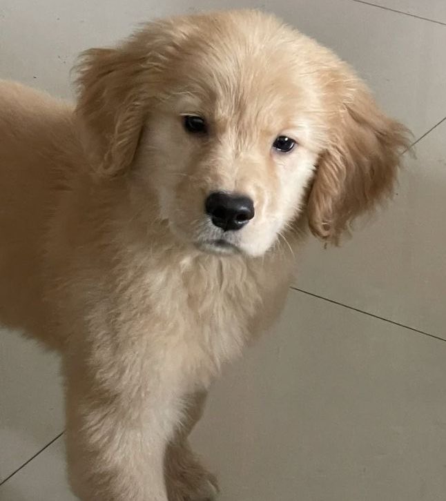 antinitonny (@antonynjboy) on Twitter photo 