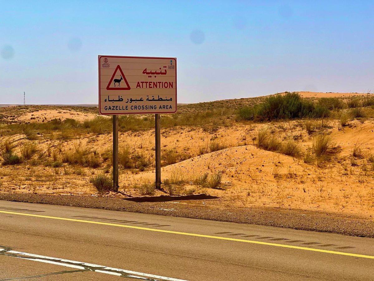 المملكة العربية السعودية حولت الصحراء القاحلة إلى مراتع للظباء والغزلان وطرق فخمة وناطحات سحاب وجامعات ومشافي ورجال قيم ودين وعلم، لله دركم آل سعود الكرام.