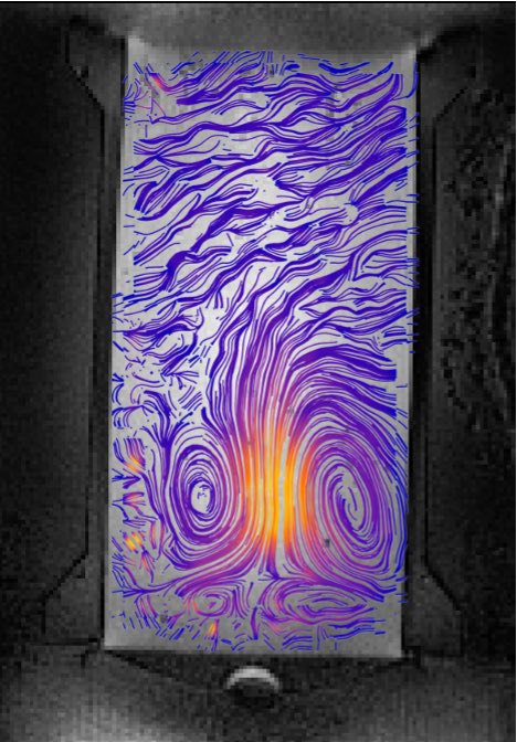 Shota Hodono tweet media