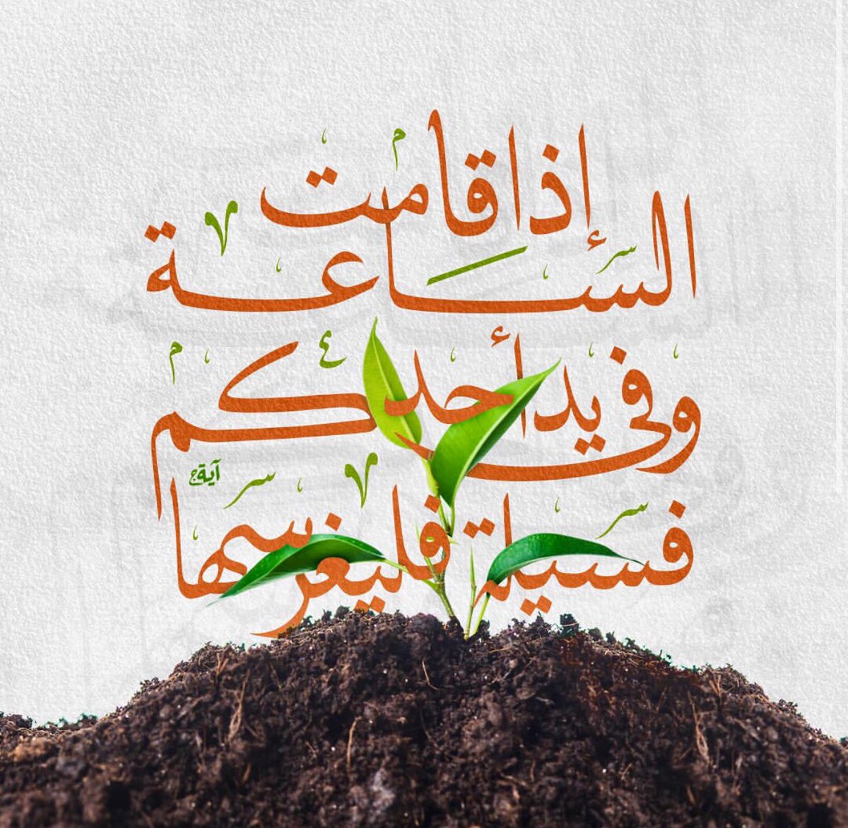 فليغرسها