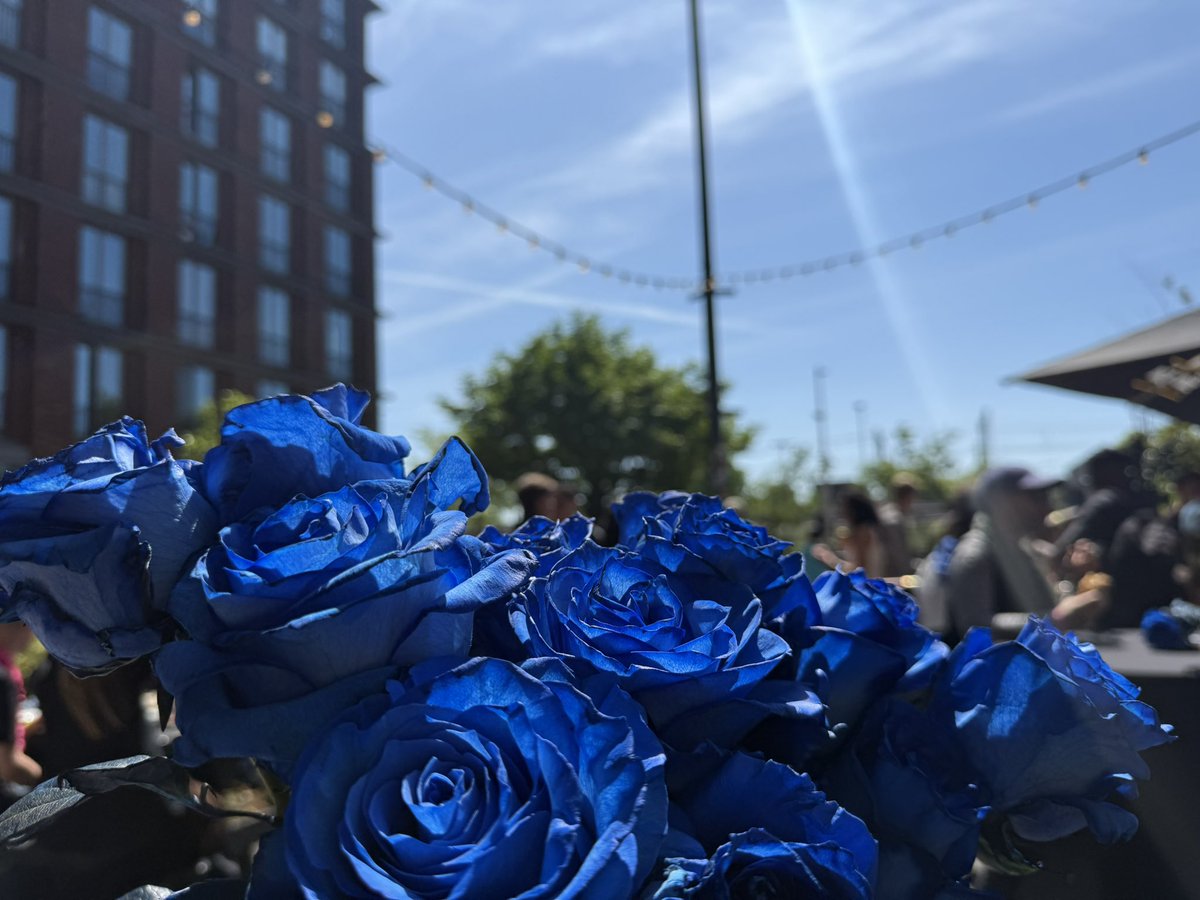 Oasis 🌹 tweet media