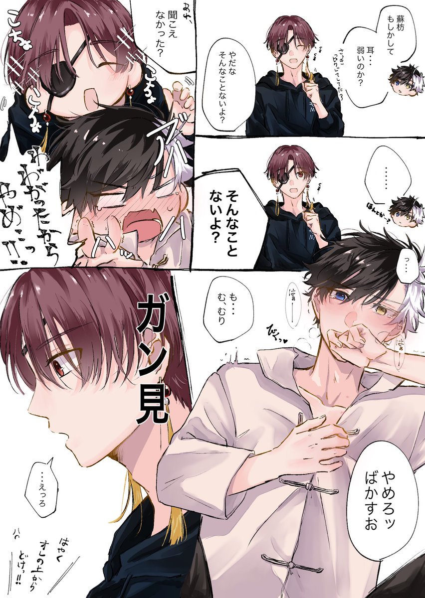 おおさめ様☆専用ページ すおさく🫖🌸 おふざけからの___。