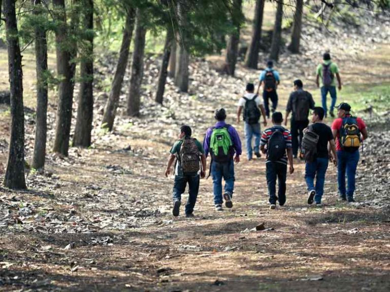 elsalvadorcom's tweet photo. Debido al cierre de la autopista Los Chorros, decenas de personas se sumergen en un bosque sin camino para evitar cinco horas de trafico. El camino por la montaña no es sencillo, en algunas ocasiones se deben de pasar quebradas y saltar entre rocas para poder avanzar.

Lee más de esta travesía en 👉 https://t.co/wv8rl3bmla