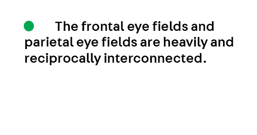 Key Point 1 from the article Supranuclear Disorders of Eye Movements by Dr. Gregory P. Van Stavern, from the April #Neuroophthalmology issue, which is available to subscribers at hubs.la/Q03kd_J90
#Neurology #NeuroTwitter #MedEd
