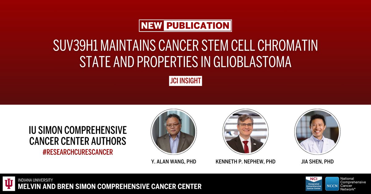 IU Simon Comprehensive Cancer Center (@iucancercenter) on Twitter photo The cancer center’s Y. Alan Wang, PhD, Kenneth P. Nephew, PhD, Jia Shen, PhD, and colleagues contributed to an article published in JCI Inisight. Learn more: ow.ly/WT4w50VB8vq. #ResearchCuresCancer #NCIcomprehensive <a href="/JCI_insight/">JCI insight</a> The cancer center’s Y. Alan Wang, PhD, Kenneth P. Nephew, PhD, Jia Shen, PhD, and colleagues contributed to an article published in JCI Inisight. Learn more: ow.ly/WT4w50VB8vq. #ResearchCuresCancer #NCIcomprehensive <a href="/JCI_insight/">JCI insight</a>